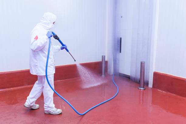 Best Rust Removal  in Buckingham, FL