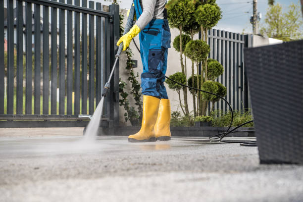 Best Solar Panel Cleaning  in Buckingham, FL